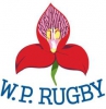 Rugby ratunkiem dla Cape Town Stadium?
